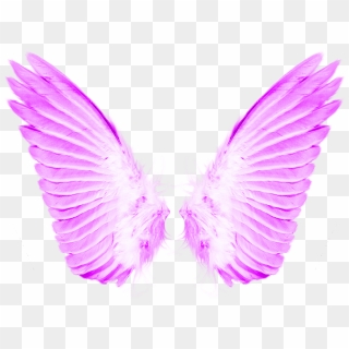 Load 40 More Imagesgrid View - White Transparent Angel Wings, HD Png ...