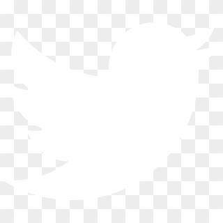 Free Twitter Icon Png Images Twitter Icon Transparent Background Download Pinpng