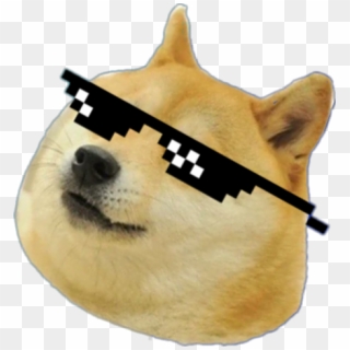 Download Angry Doge Png Png Gif Base - tiny doge roblox