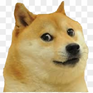 Derpy Doge , Png Download, Transparent Png - 1474x1499 (#584728) - PinPng