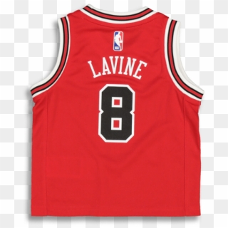 Nike Toddler Chicago Bulls Zach Lavine - Dennis Rodman Detroit Pistons Jeraey, HD Png Download