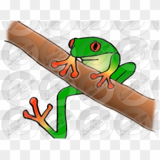 Frog Cartoon png download - 827*965 - Free Transparent Spirit Albarn png  Download. - CleanPNG / KissPNG