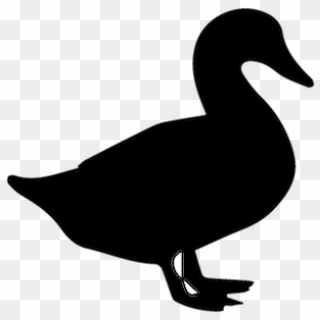 Roblox Duck Onesie
