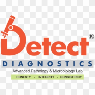 Detect Diagnostics - Graphic Design, HD Png Download - 571x394 ...