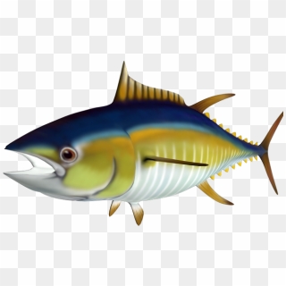 Fish Meat Png Png Image With Transparent Background - Fresh Tuna Fish 