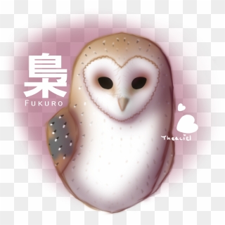 Barn Owl, HD Png Download