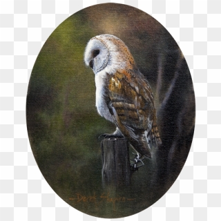 Barn Owl, HD Png Download