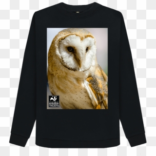 Barn Owl Jumper - Barn Owl, HD Png Download