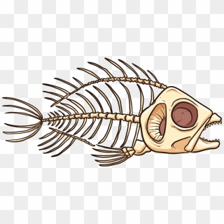 Fish Skeleton Png - Fish Skeleton Transparent, Png Download - 600x600 ...