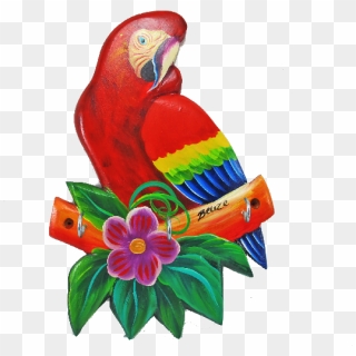 Macaw , Png Download - Macaw, Transparent Png - 719x1062 (#6236338 ...