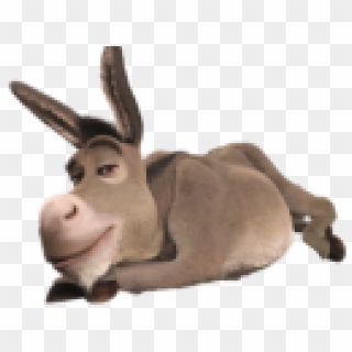 Shrek, cat and burro PNG. by onlytruemusic on DeviantArt