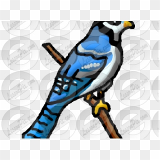 Blue Jay Bird On transparent background. ai generated 27145955 PNG