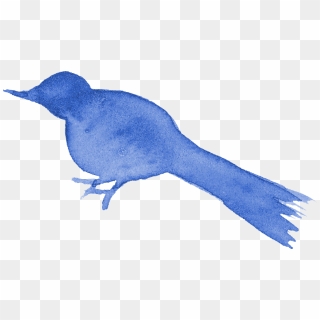 Bird Png Clip - Clipart Blue Jay Png, Transparent Png , Transparent Png  Image - PNGitem