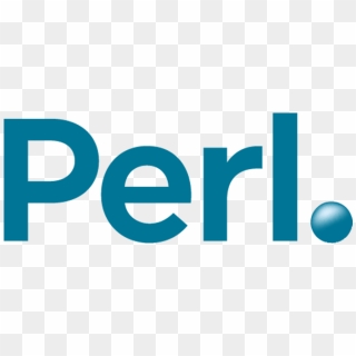 Perl Logo Rvb , 2018 02 28 - Perl Nexity, HD Png Download - 1000x577 ...