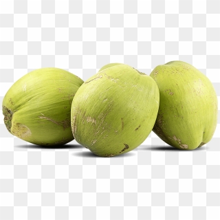 Bangladesh Pakistani Fruits, Bangladesh Pakistani Fruits - Coconut ...
