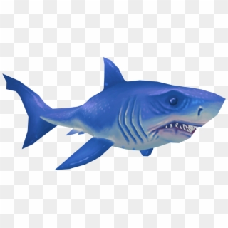 Shark - - 2d Shark Sprite Free, HD Png Download - 3000x3000 (#1666606 ...