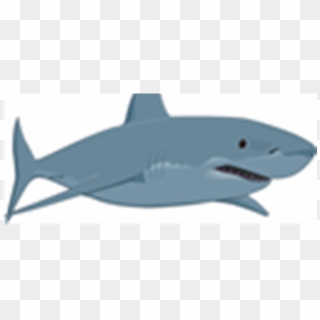 Great White Shark Clipart Clip Art - Great White Shark, HD Png Download ...