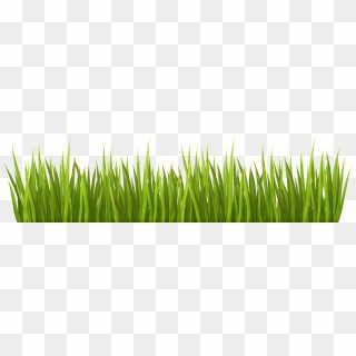 Lawn Clip Art - Grass Transparent Background Png Clipart, Png Download ...