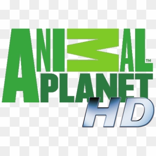 Animal Planet Channel Logo Png - Discovery Channel, Transparent Png