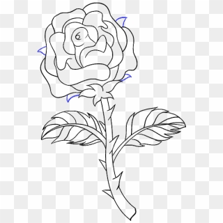 How To Draw Rose With A Stem - Draw A Rose Stem, Hd Png Download 