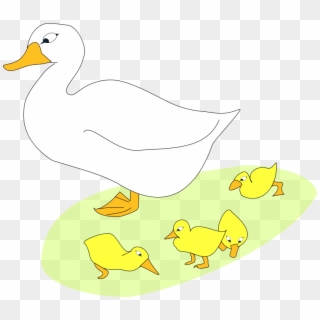 Goose Free To Use Clip Art - Husi Kreslené, HD Png Download - 800x699 ...