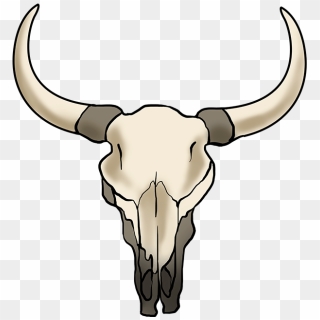 How To Draw Bull Skull - Bull Skull Drawing Step By Step, HD Png Download