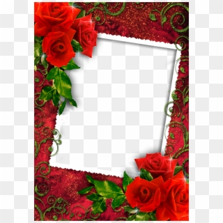 Download Png Images Love Rose Photo Frame Transparent Png 897x1264 736486 Pinpng