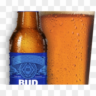 Bud Light Clipart Cerveza - Beer Bottle, Hd Png Download - 640x480 