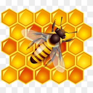 Bees Transparent Honey Australian Png Free Stock, Png Download ...