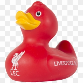 liverpool rubber duck