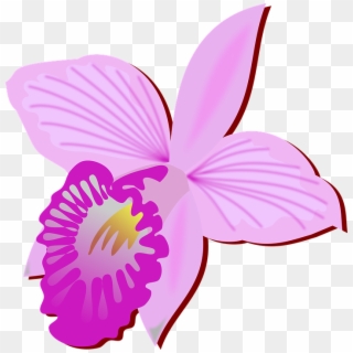 Orchid Flower Vector Png - Orquidea Clipart, Transparent Png - 713x720 ...