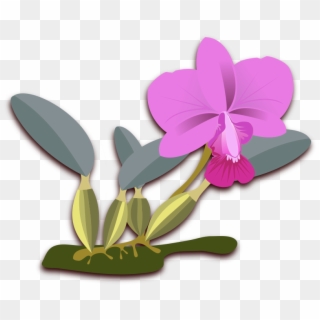 Purple Png Clip Art - Purple Orchid Png, Transparent Png - 6000x4093 ...