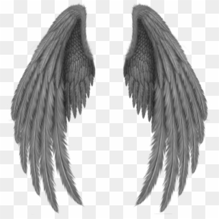 Free Black Angel Wings PNG Images | Black Angel Wings Transparent ...