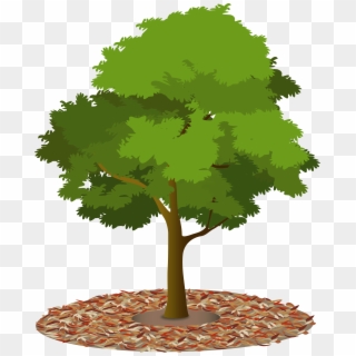 Free Tree Illustration Png Images Tree Illustration Transparent Background Download Pinpng