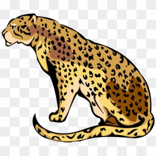 Free Png Cheetah Png Images Transparent - Agile Leopard, Png Download ...