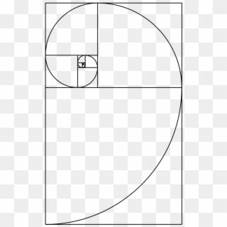 Is The Nautilus Shell Spiral Actually A Golden Spiral - Fibonacci ...