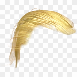 Png Freeuse Donald Wig Png For Free Download - Gold Hair Png ...