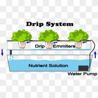 Hydroponic Drip System - Hydroponic Systems, HD Png Download ...